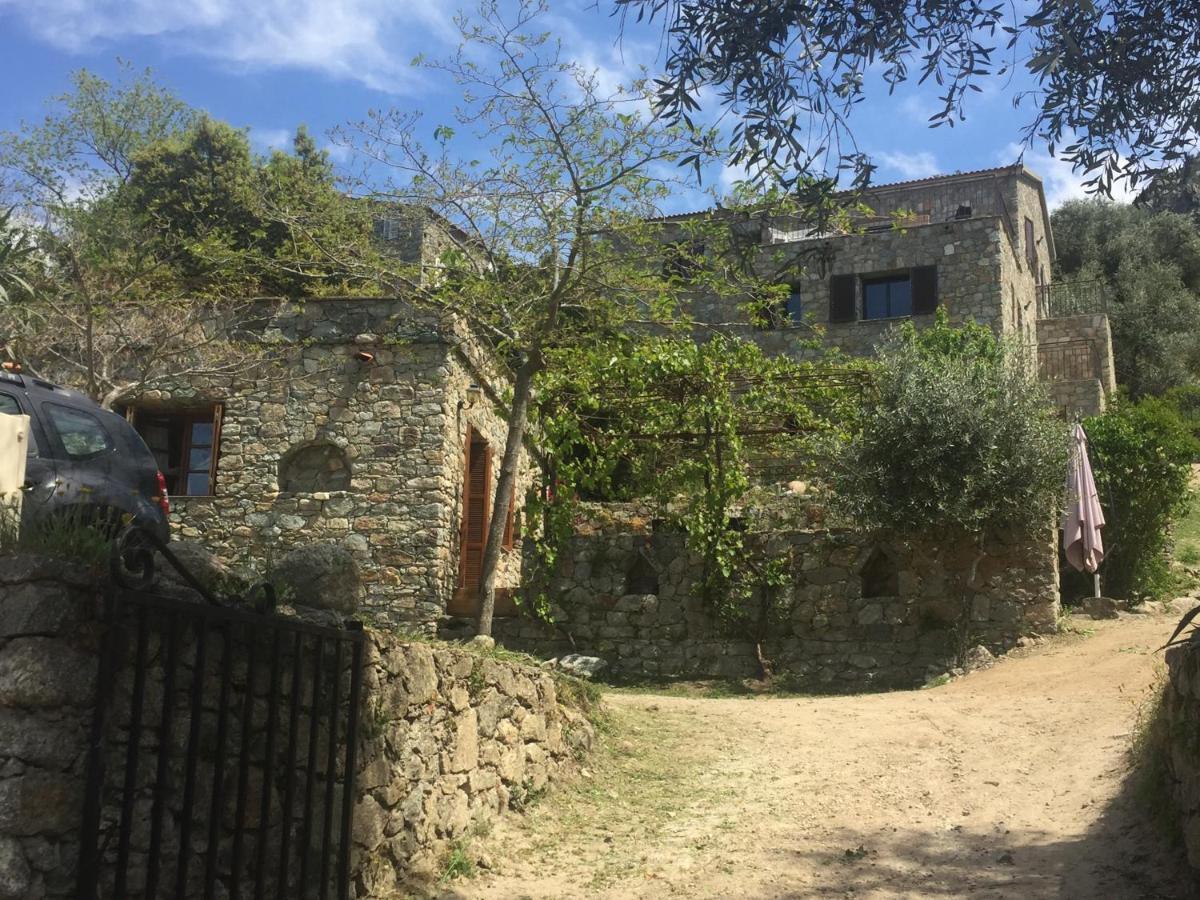 Hébergement de vacances Résidence Casa Di Roc